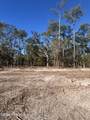 Lot 49 Peninsula Parkway - Photo 1