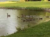 300 Mcginnis Drive - Photo 115