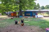 9466 Clarks Mill Road - Photo 67