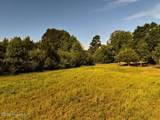 0 Old Chinquapin Road - Photo 13