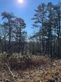 000 Mistletoe Ridge - Photo 30