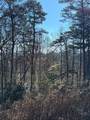 000 Mistletoe Ridge - Photo 33
