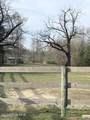 175 Nurnberg Lane - Photo 51