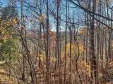 Lot 41C Ash Branch Circle - Photo 1