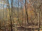 Lot 41C Ash Branch Circle - Photo 2