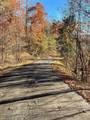 Lot 41C Ash Branch Circle - Photo 3
