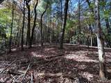 Lot 5&8 Indian Rock Springs Subdivisio - Photo 16