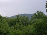 26 Kalanu Trail - Photo 27
