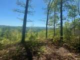 0 Wayah Ridge - Photo 5