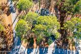 2131 Royal Pines Drive - Photo 48