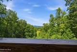 154 Blueberry Hill - Photo 37
