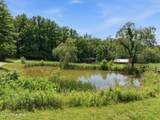 154 Blueberry Hill - Photo 51