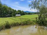 154 Blueberry Hill - Photo 52