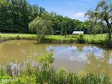 154 Blueberry Hill - Photo 53