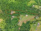 154 Blueberry Hill - Photo 54