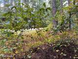 Lot 7 Equestrian Lane - Photo 39