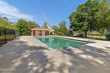 1928 Snowy Egret Drive - Photo 46