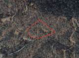 1111 Canopy Lane - Photo 12