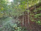 1111 Canopy Lane - Photo 7
