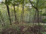 1111 Canopy Lane - Photo 8