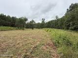 359 Roe And Sarah Drive - Photo 17