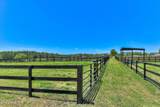 929 Airport Road - Photo 79