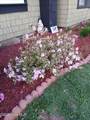 48 Fisher Street - Photo 20