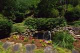 00 Lakeside Trail - Photo 7
