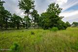 1018 Fynn Notch - Photo 5