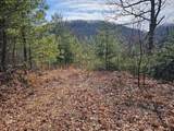 51 Kudzu Creek Trail - Photo 1