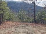 51 Kudzu Creek Trail - Photo 10