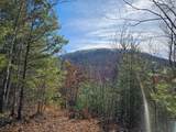 51 Kudzu Creek Trail - Photo 2