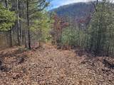 51 Kudzu Creek Trail - Photo 3