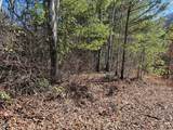 51 Kudzu Creek Trail - Photo 4