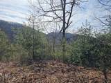 51 Kudzu Creek Trail - Photo 5