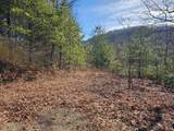 51 Kudzu Creek Trail - Photo 6