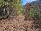 51 Kudzu Creek Trail - Photo 9