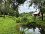 37 Shady Creek Ridge - Photo 11