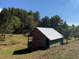 37 Shady Creek Ridge - Photo 5