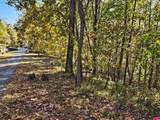 38 Trophy Buck Point - Photo 11
