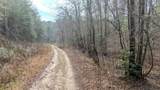 2.57 Scottie Mountain Circle - Photo 11