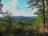 2.57 Scottie Mountain Circle - Photo 2