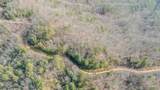 2.57 Scottie Mountain Circle - Photo 9