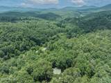 167 Brasstown View - Photo 48