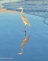 870 Great Egret Circle - Photo 58