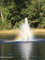 870 Great Egret Circle - Photo 59