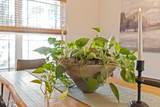 378 Thicket Drive - Photo 49
