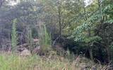 Lot 11 The Preserve - Photo 10