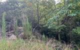 Lot 11 The Preserve - Photo 11