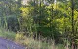 Lot 11 The Preserve - Photo 6